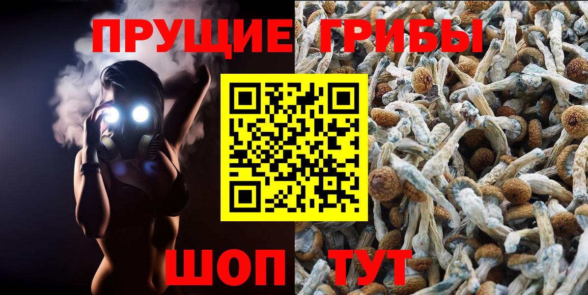 Канск  Псилоцибиновые грибы GOLDEN TEACHER  Галлюциногенные грибы мухоморы  Вход с VPN 